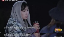 爆料大王李子柒视频,传统农耕与现代艺术的完美融合