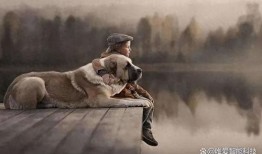 宠物打工人爆料视频播放,揭秘宠物行业幕后辛酸