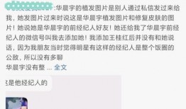 娱乐吃瓜视频完整,吃瓜群众视角下的明星幕后故事